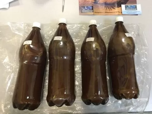 Buy Ayahuasca Tea beverages online EU