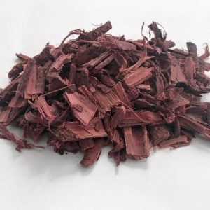 Buy Mimosa Hotilis Online Europe