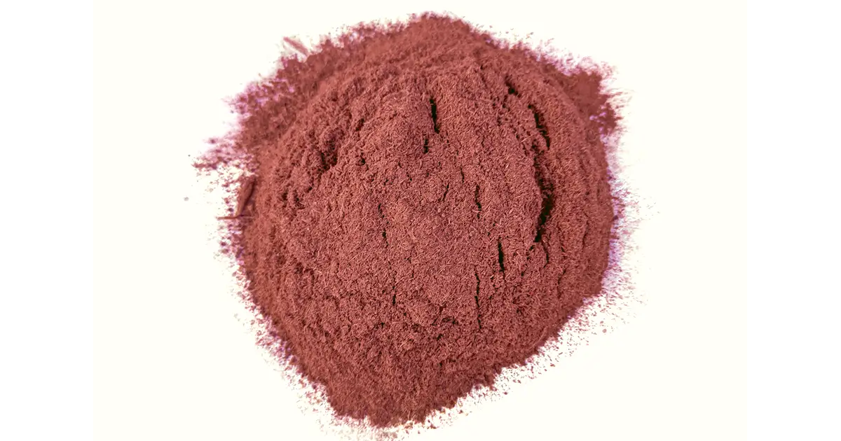 Buy Mimosa Hotilis ( Inner Root Bark Powder )