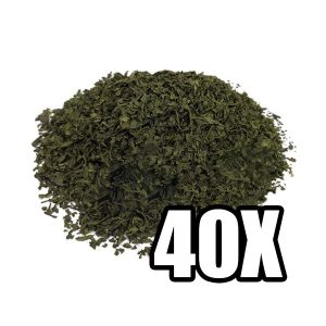 Buy Salvia Extract 40X in Europe