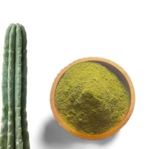 Buy San Pedro Powder Europe