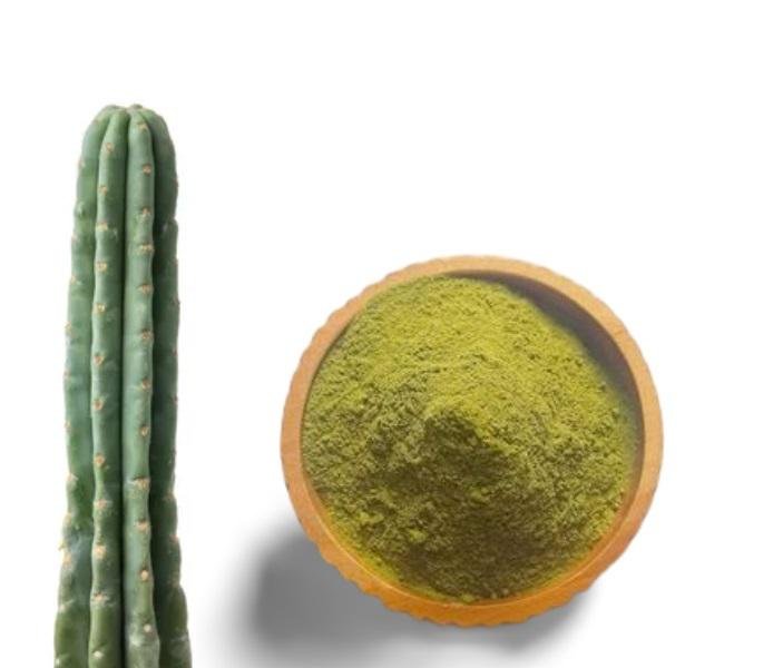 Buy San Pedro Powder Europe
